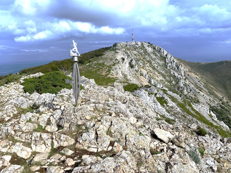 Tontorra