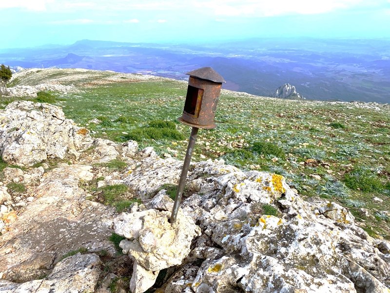 Buzoia