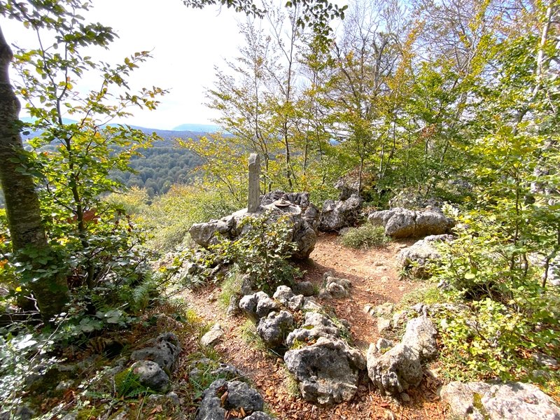 Tontorra