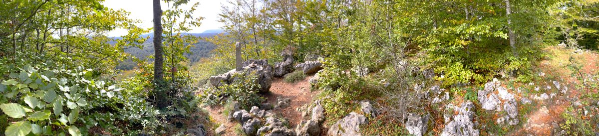 Tontorra