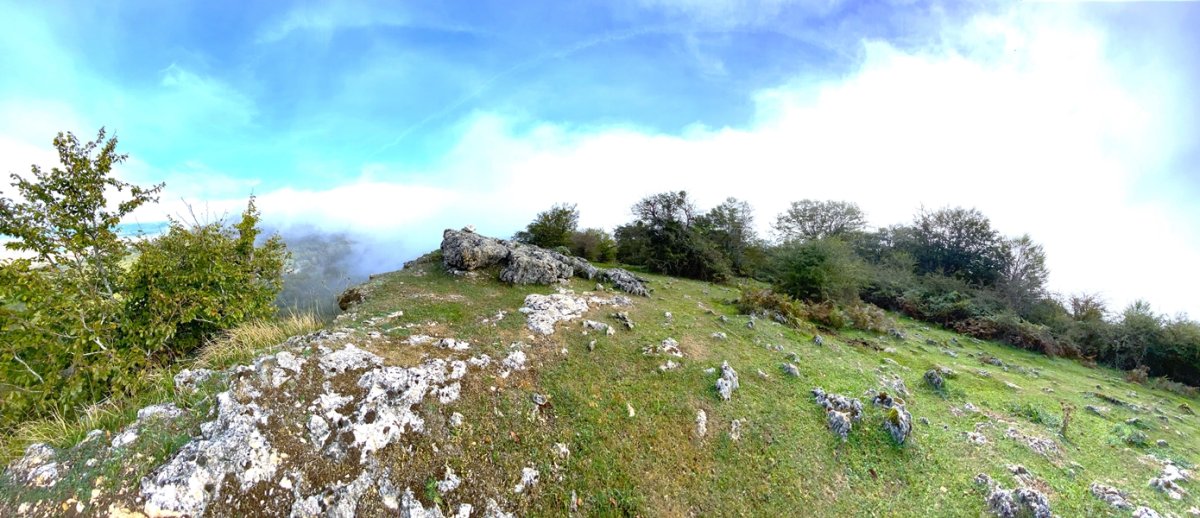 Tontorra