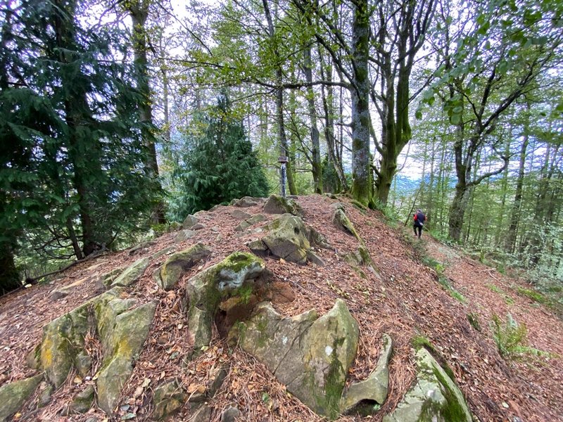 Tontorra