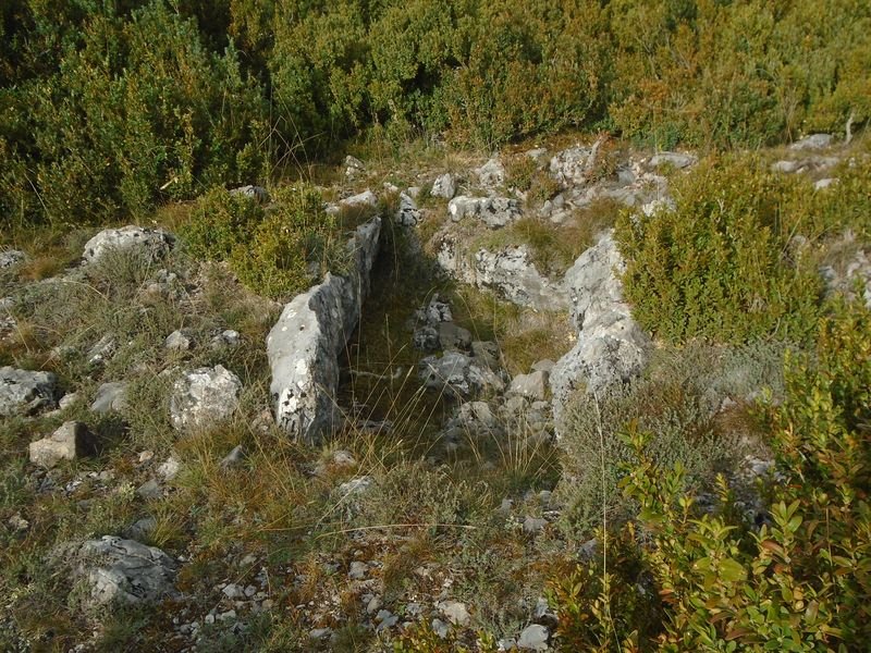 santa llucia