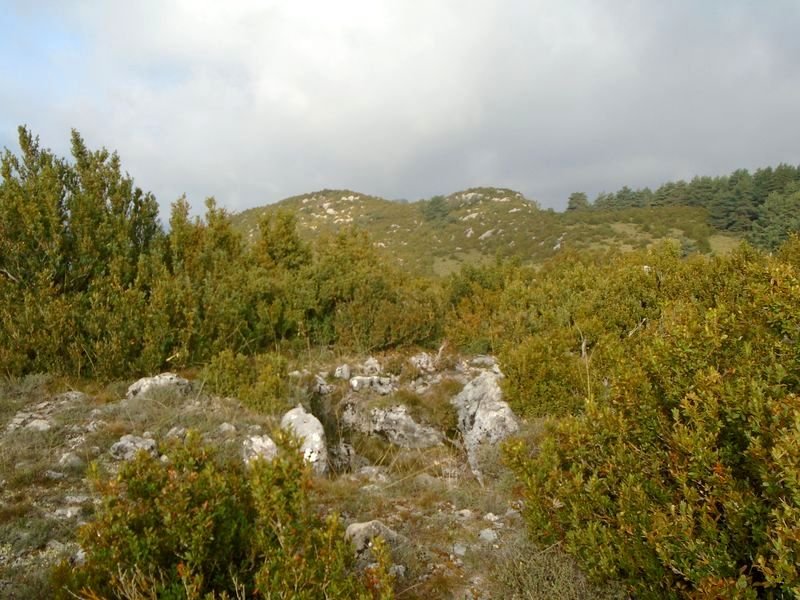 santa llucia