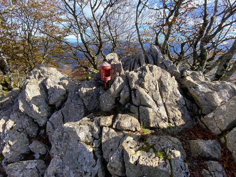 Tontorra