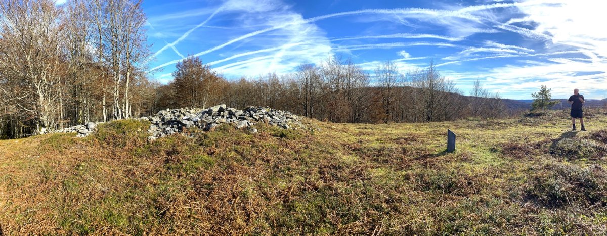 Tontorra