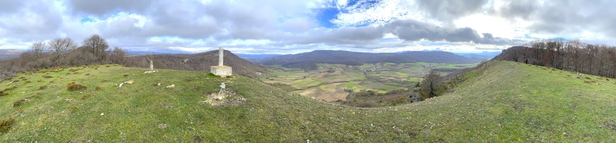 Tontorra