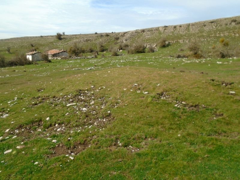iguzpegi 4