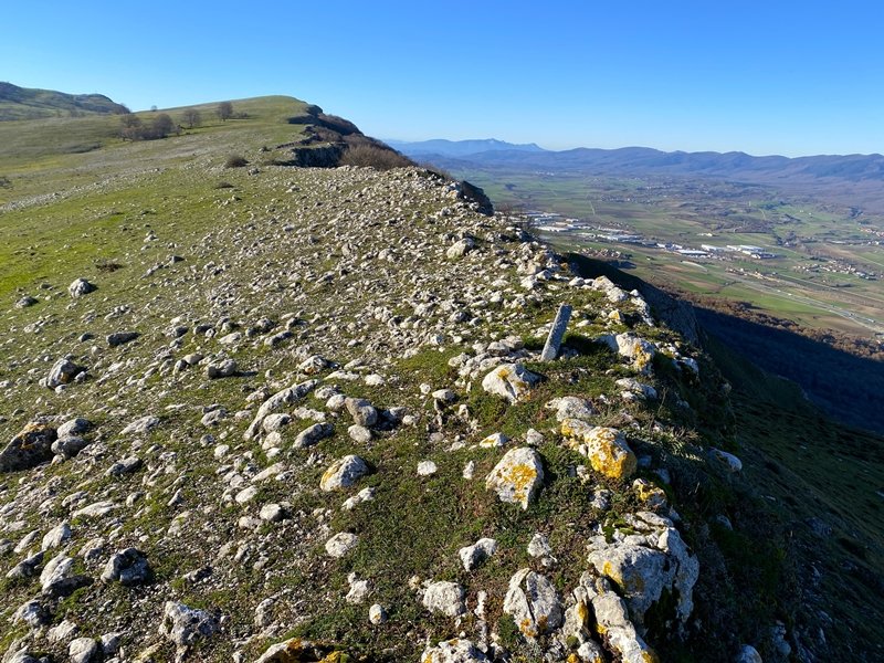 Tontorra