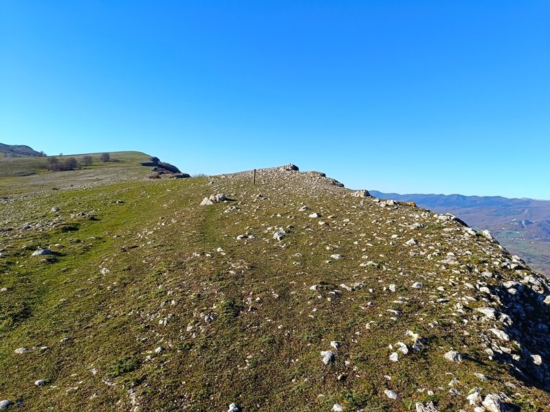 Tontorra