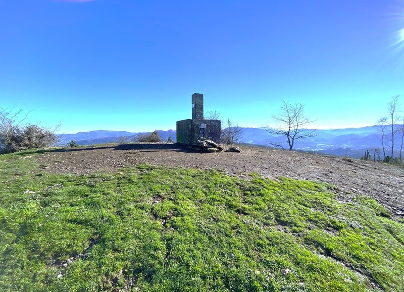 Tontorra