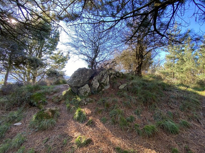 Tontorra
