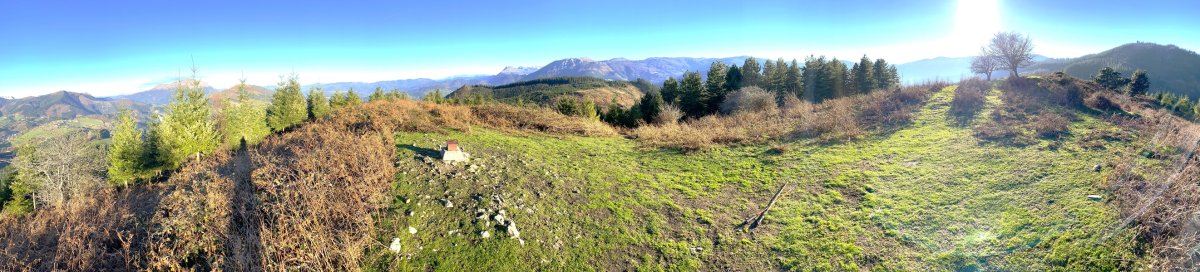 Tontorra