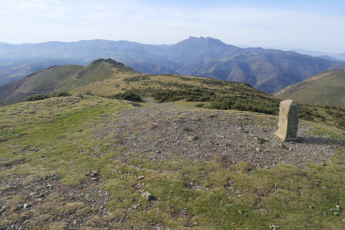 Manddale tontorra