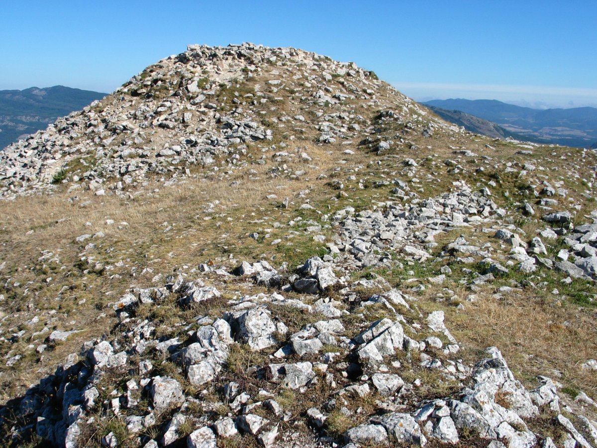 Gaztelu tontorra