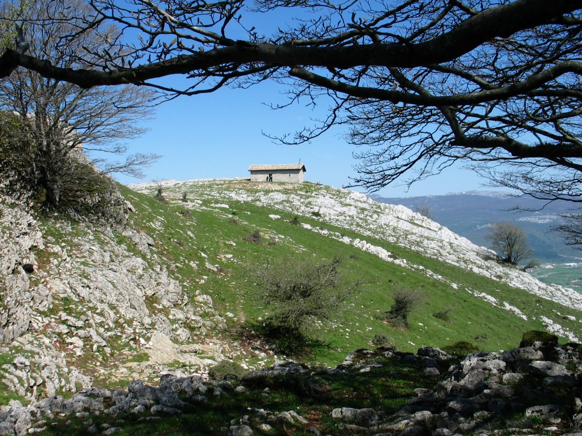 San Adrian tontorra