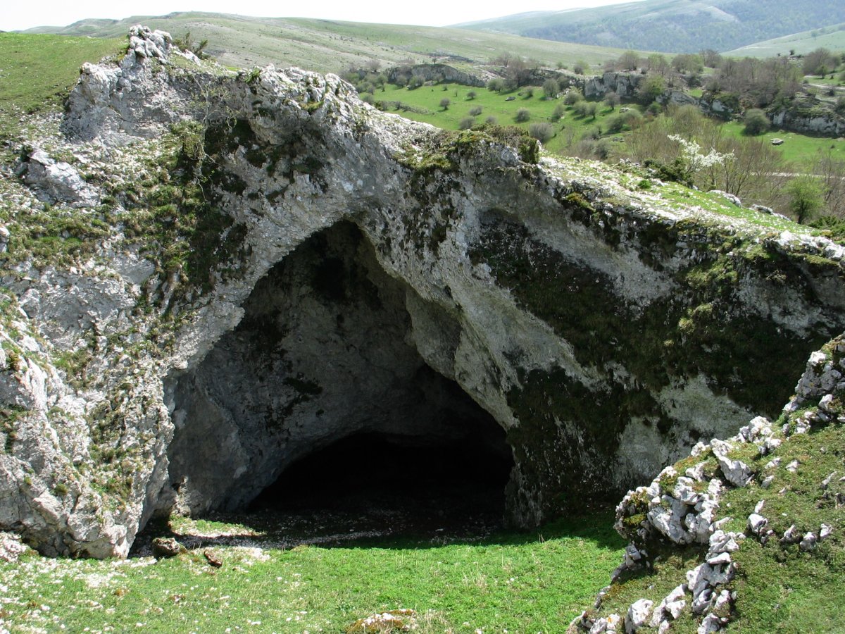 Leizearen sarrera