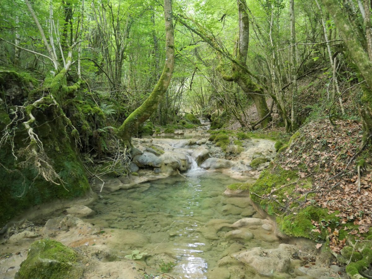Toberia ur-jauziak