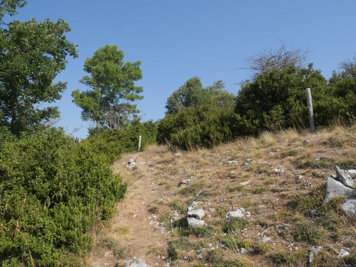 Bideko pasarte bat