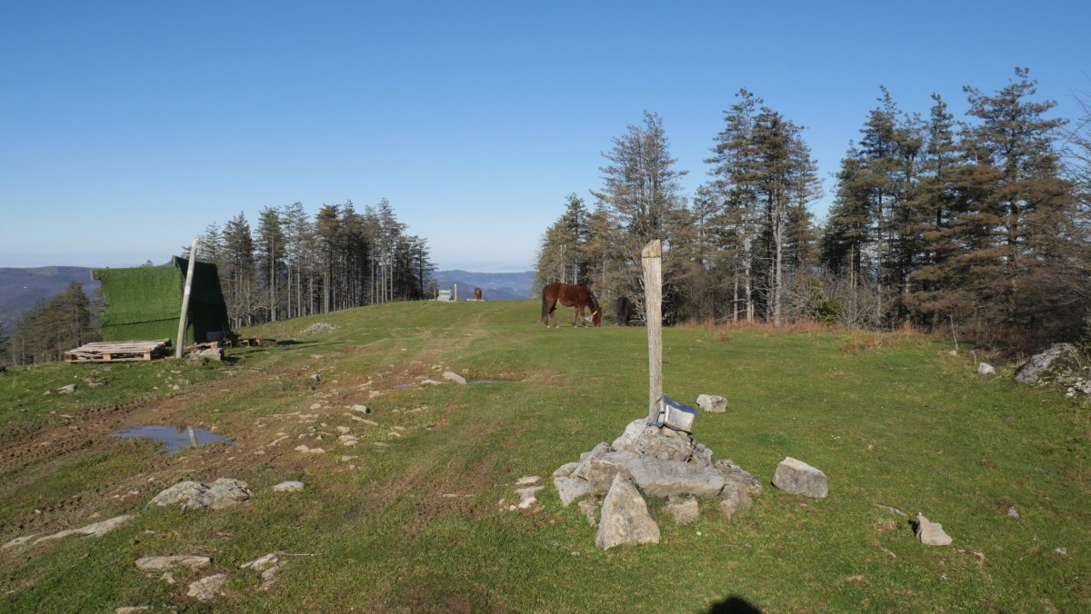 Arrizurietako muinoa