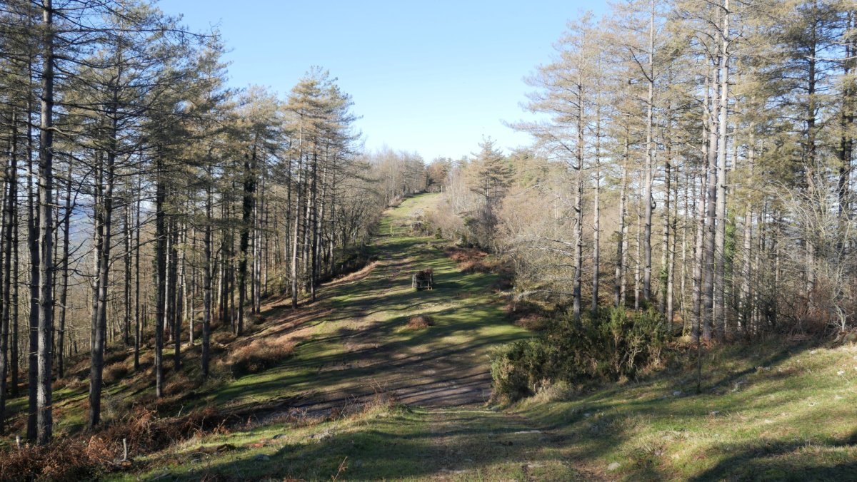 Arizmendi HEko bizkarretik