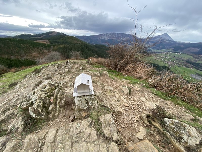 Buzoia