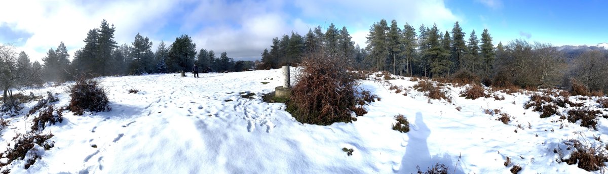 Tontorra