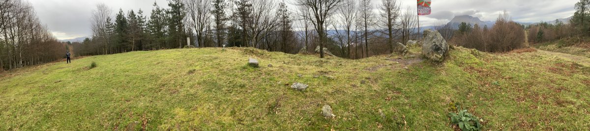 Tontorra