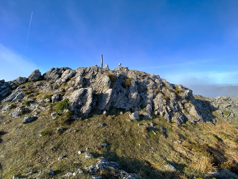 Tontorra