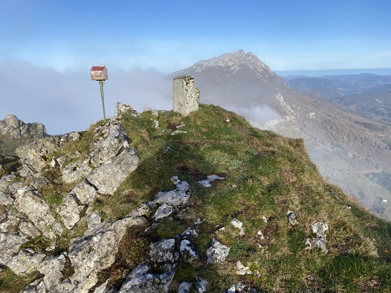 Tontorra