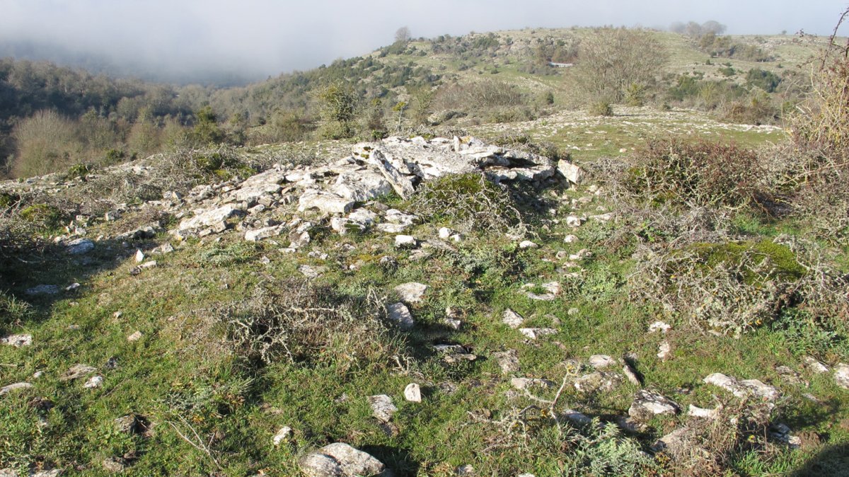 Usaleze 2 tumulua, Andia