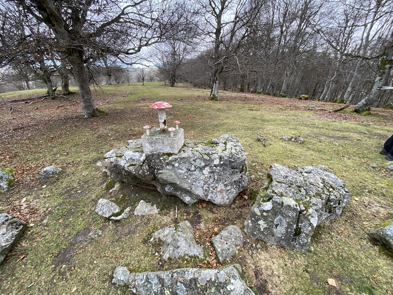 Tontorra
