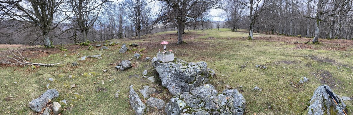 Tontorra