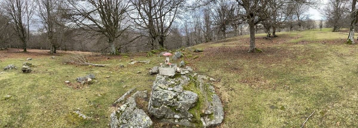 Tontorra
