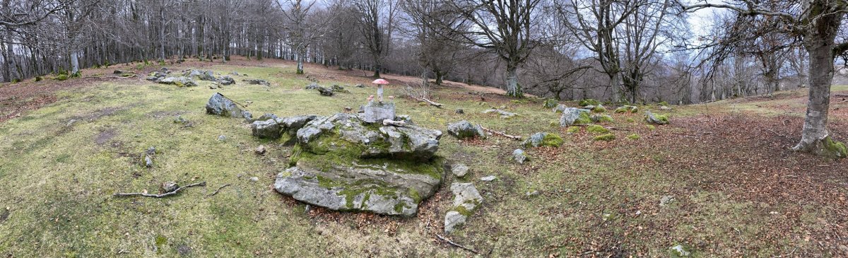 Tontorra