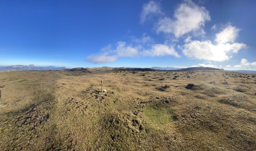 Tontorra