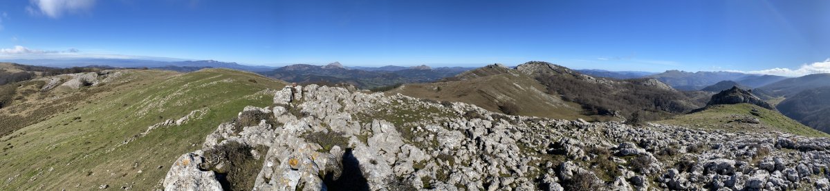 Tontorra