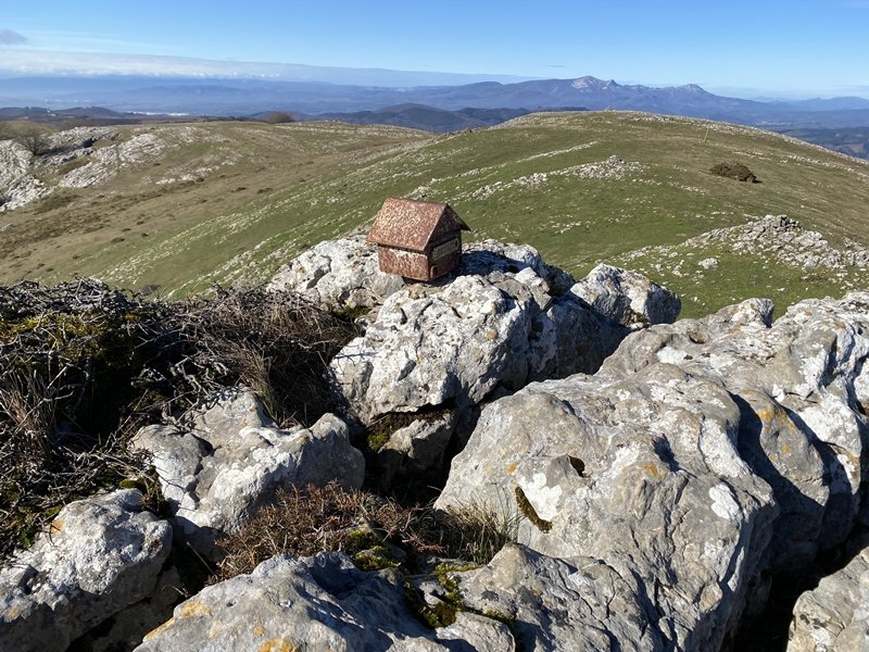 Tontorra