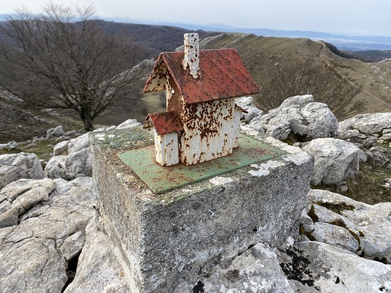 Buzoia