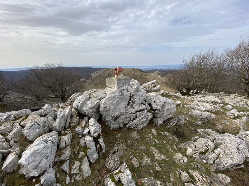 Tontorra