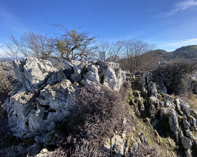Tontorra