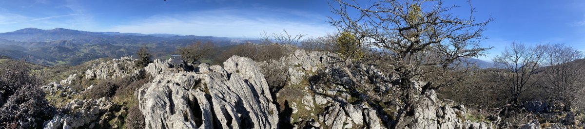 Tontorra