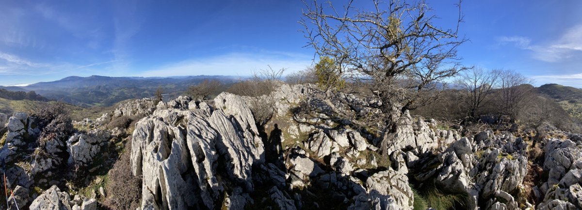 Tontorra