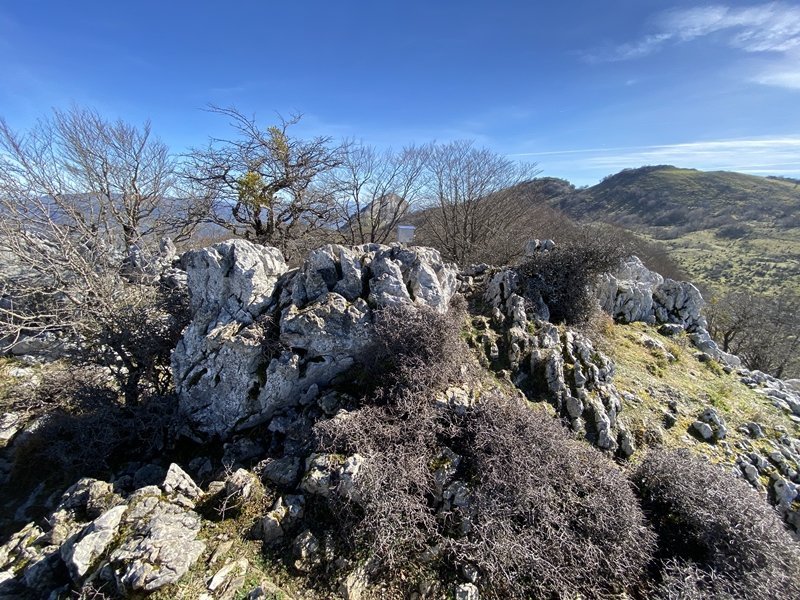 Tontorra