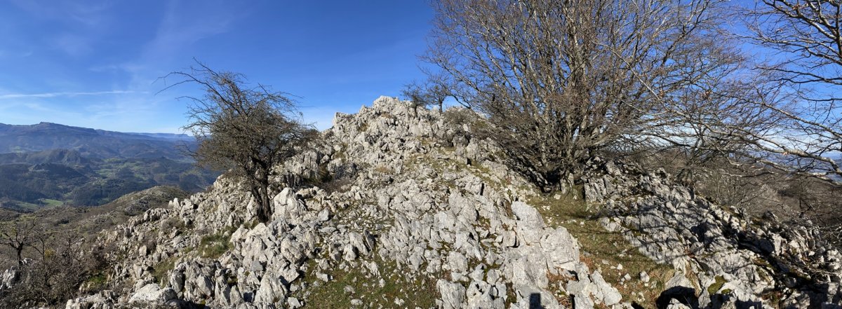 Tontorra