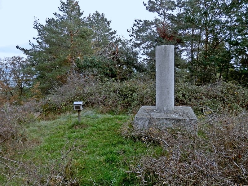 Tontorra