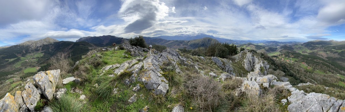 Tontorra