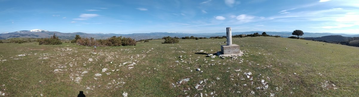 Tontorra