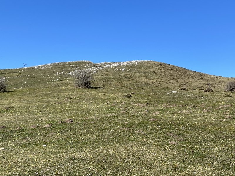 Akarrate