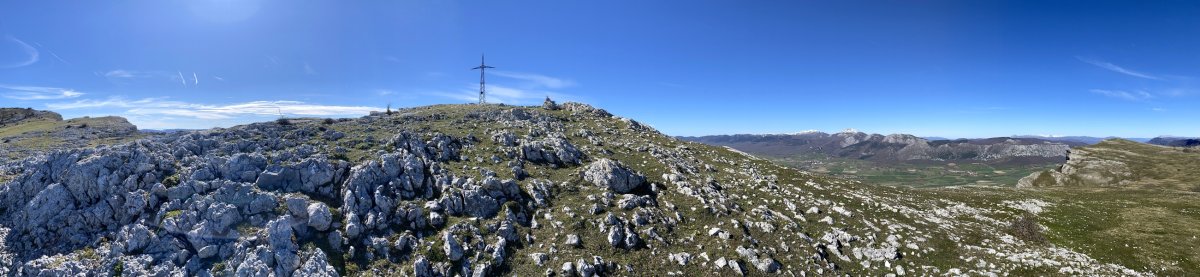 Tontorra